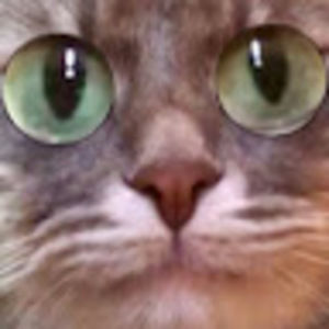 Meet your Posher, Shellie